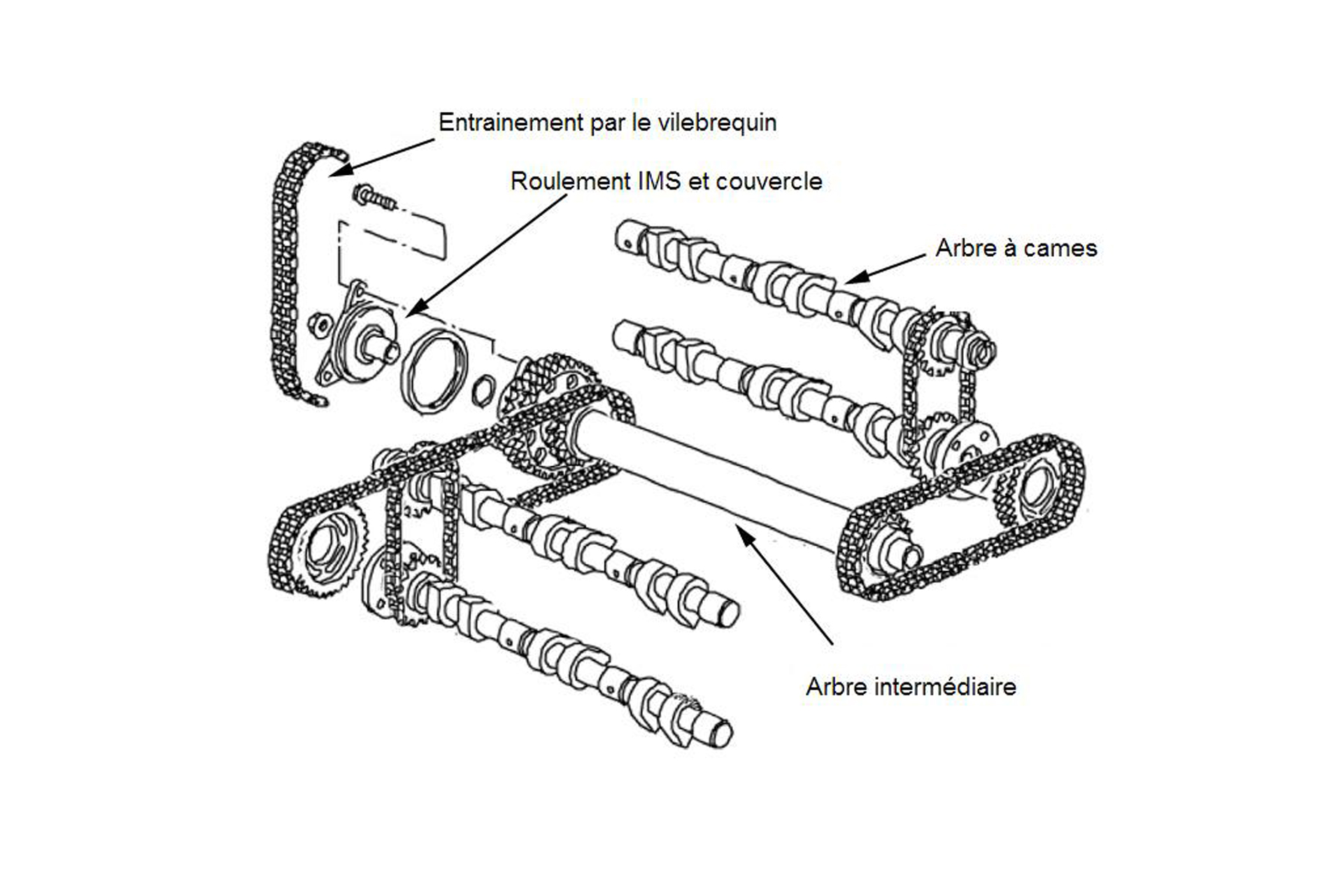 Schéma du roulement IMS et de l'arbre intermédiaire entraîné par le vilebrequin